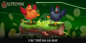 Các thế đá gà hay