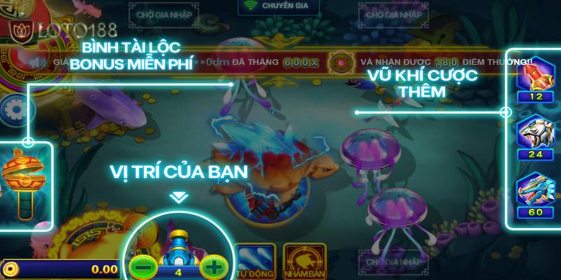 Quy trình săn cá kiếm thưởng với 4 bước đơn giản